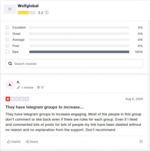 trustpilot review of Wolf Global