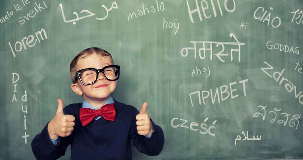 RocketGrow alternative