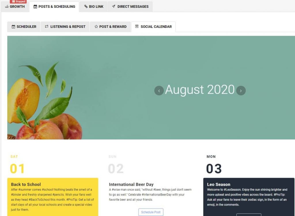 manual Instagram growth