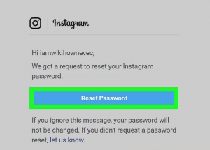 reset Instagram password