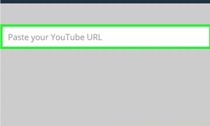 copy and paste YouTube URL