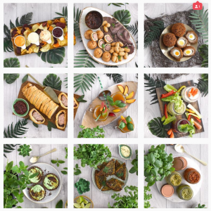 gaining Insta followers without survey