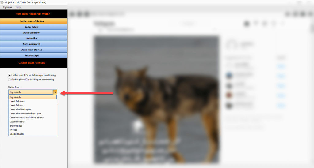 NinjaGram-gather accounts