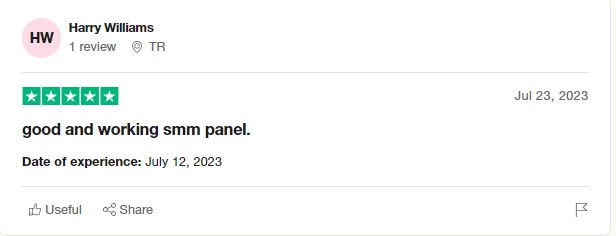 followiz trustpilot reviews