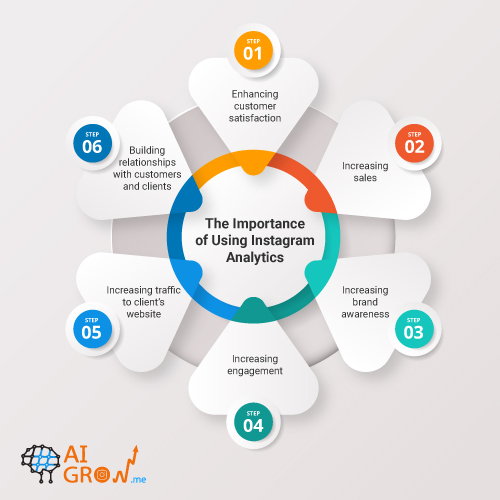 Instagram analytics infographic