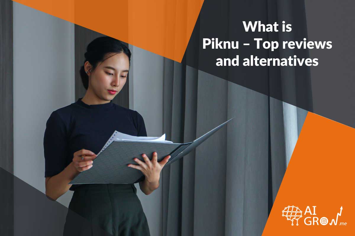 What is Piknu – Top reviews and alternatives
