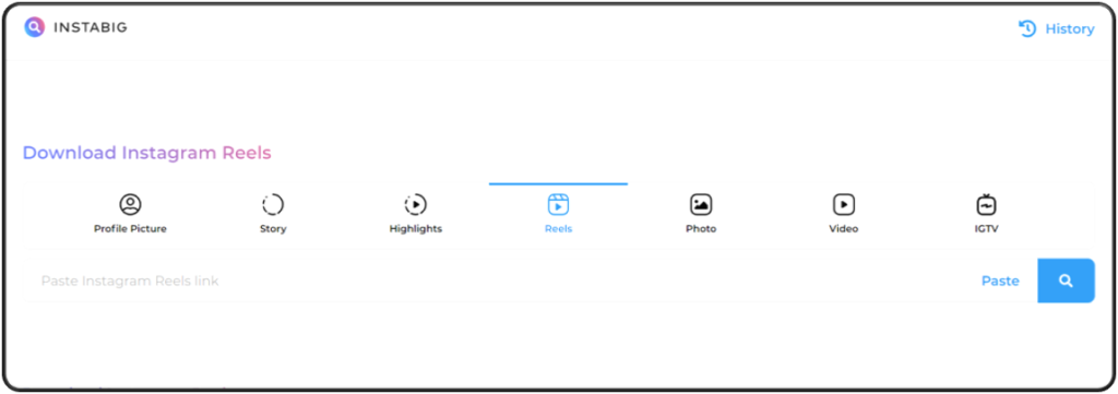 Instabig Instagram Reel viewer