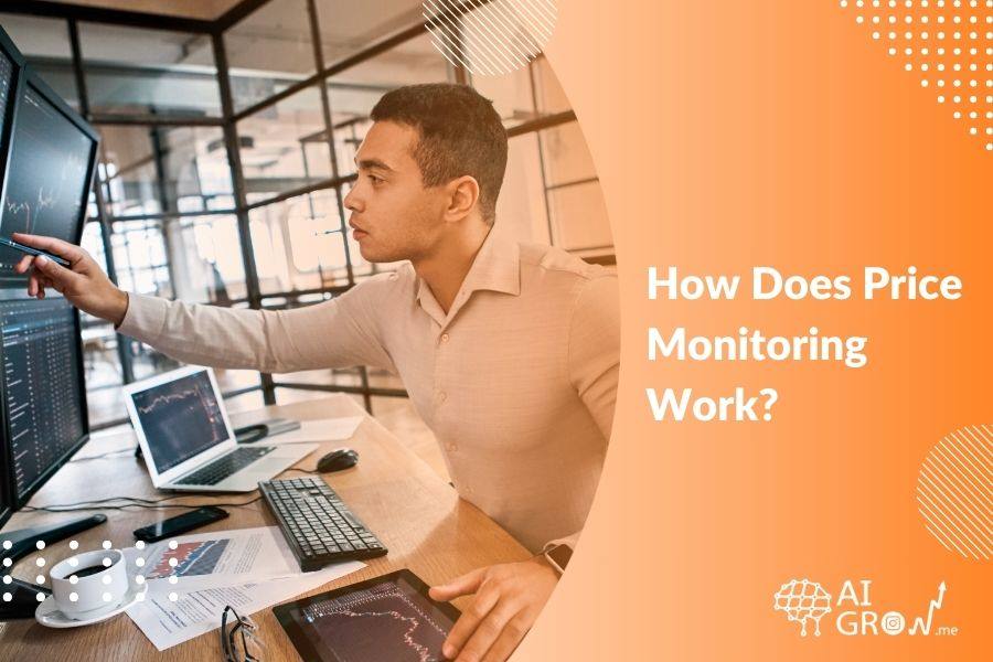 How Does Price Monitoring Work? Best Guide in 2024