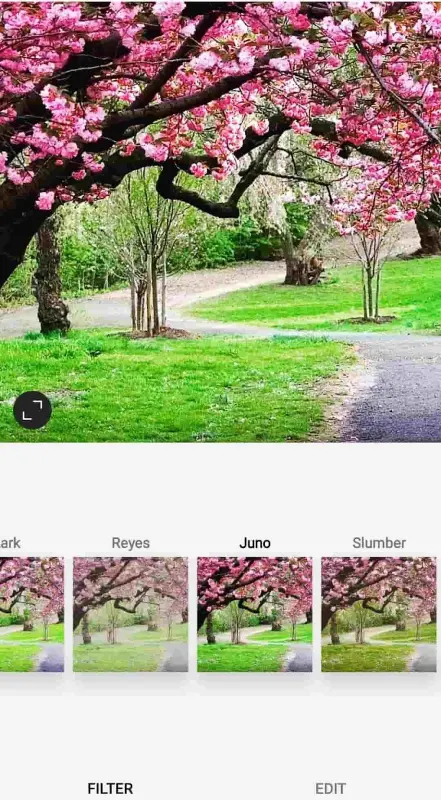 Juno filter on Instagram