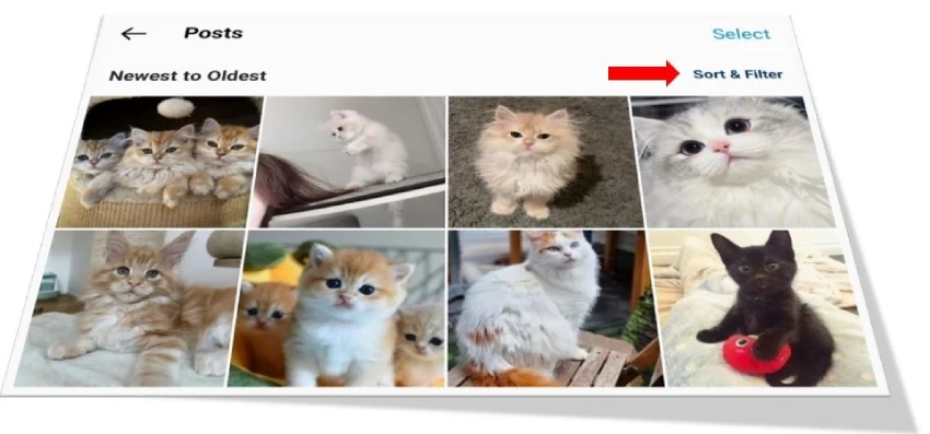 select sort & filter