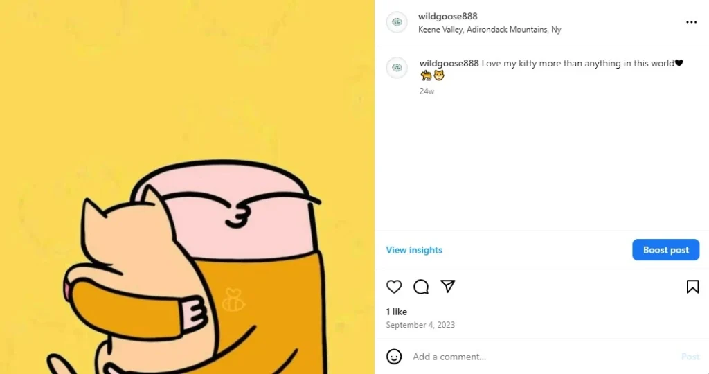 how to boost a post on IG