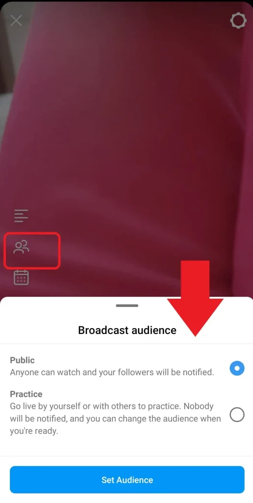 defining Instagram live audience