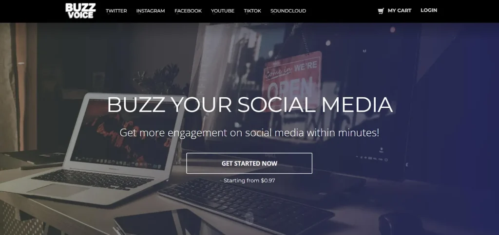 BuzzVoice homepage