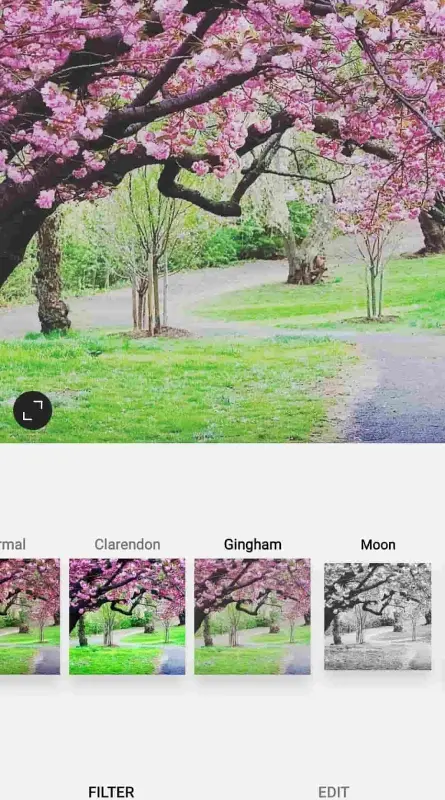 gingham filter on IG