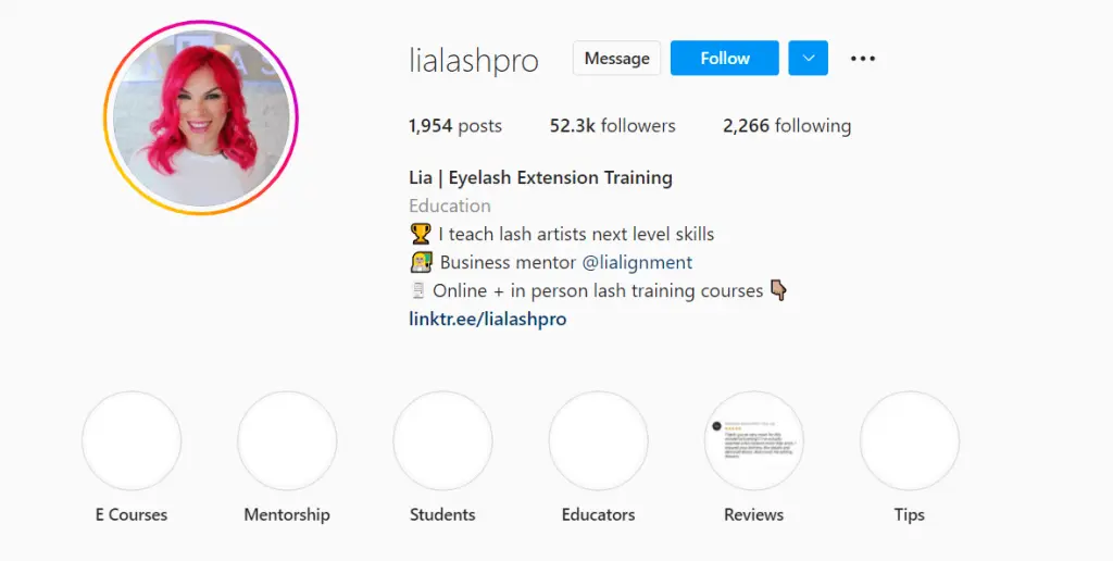 lash artists bio example