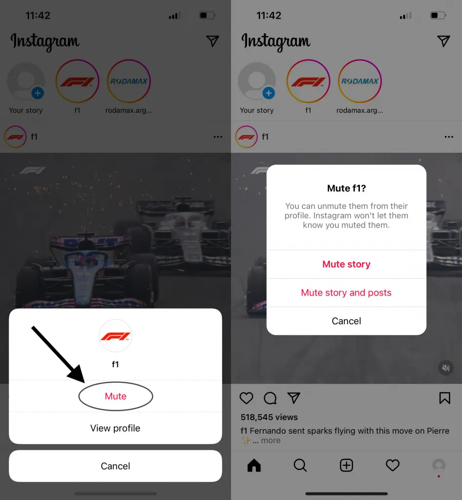 Mute Someone’s Post Through Their Stories