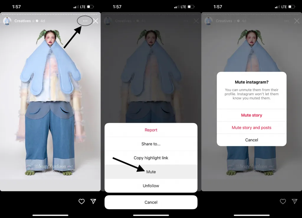 Click on the three dots icon, tap mute, select mute or mute story and posts