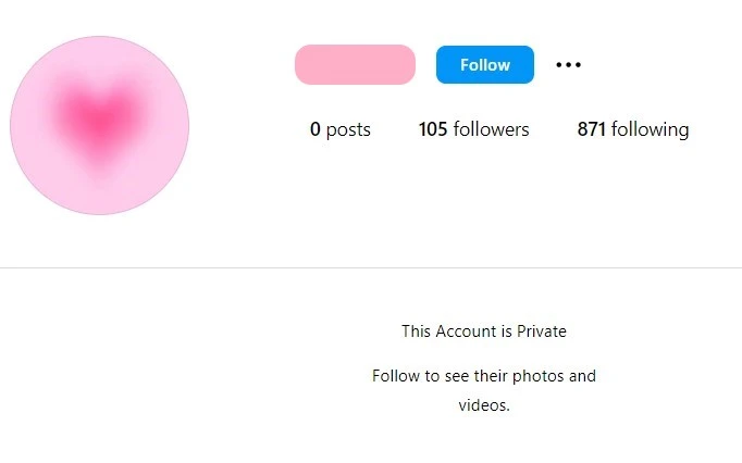 Instagram private account