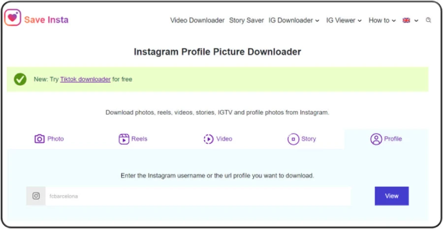 Save Insta profile downloader