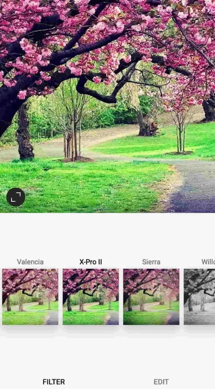 x-pro effect on instagram