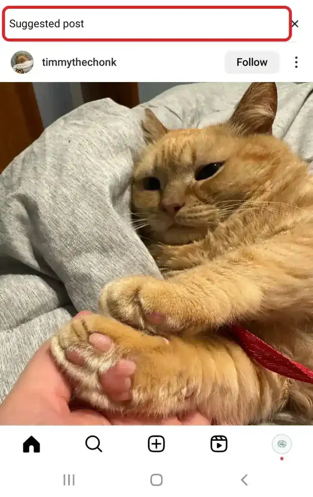 Instagram suggested posts feature