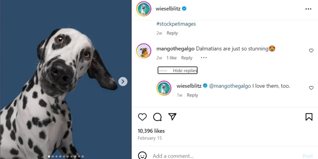 responding to followers' comment on photography account