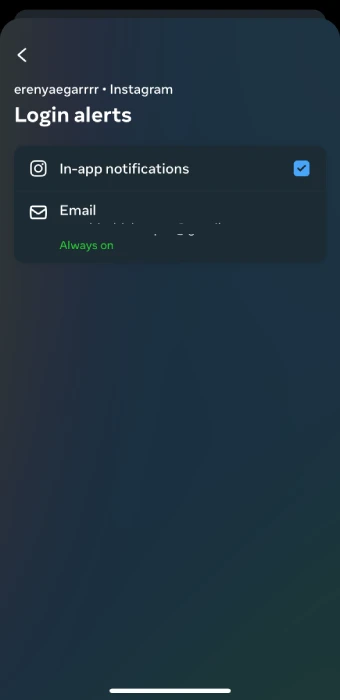 Instagram security alert