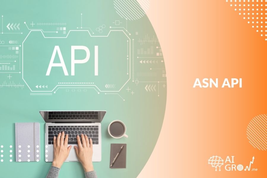 Maximize Your Marketing Insights with an ASN API Best 2024 Guide