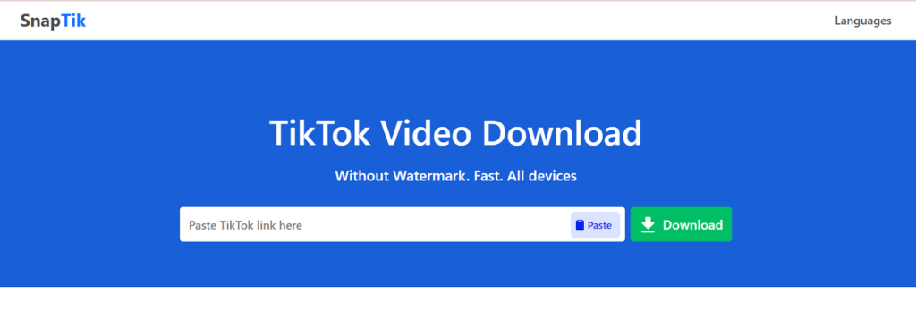 SnapTik TikTok Video Downloader 